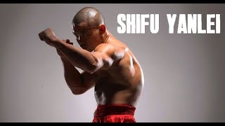 SHAOLIN KUNG FU COMBAT APPLICATIONS BY SHIFU YANLEI screenshot 2