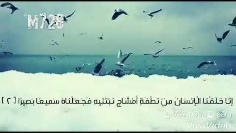 تلاوة رائعة تريح القلب من سورة الأنسان(حالات واتس دينى)..