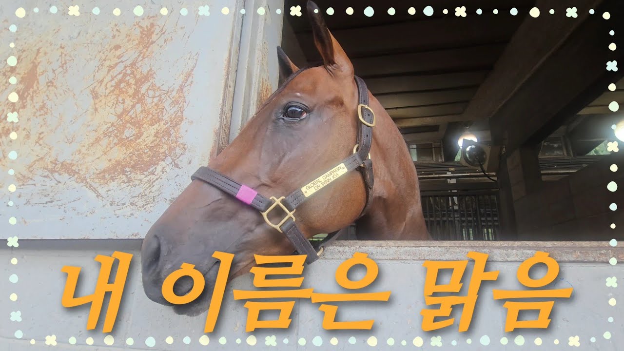 법인마주 아리온의 새로운 경주마! (+프라임크라운 휴양)