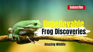 Unbelievable Frog Discoveries in the Amazon Rainforest - You Won't Believe Your Eyes! #shorts #frogs