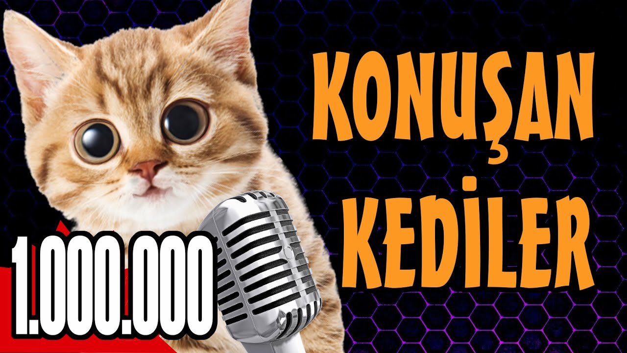 Konusan Kediler 1000 Mp3 Indir