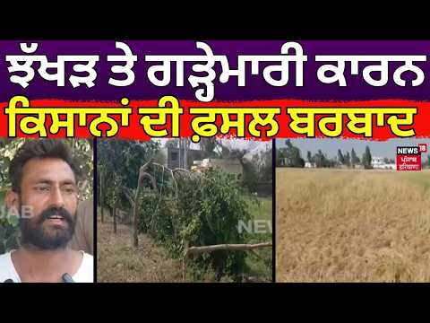 Faridkot News | ਝੱਖੜ ਤੇ ਗੜ੍ਹੇਮਾਰੀ ਕਾਰਨ ਕਿਸਾਨਾਂ ਦੀ ਫ਼ਸਲ ਬਰਬਾਦ | Punjab Farmers News | N18V