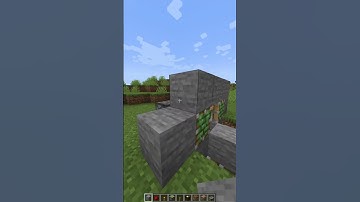 Double Block Swapper in Minecraft! #shorts