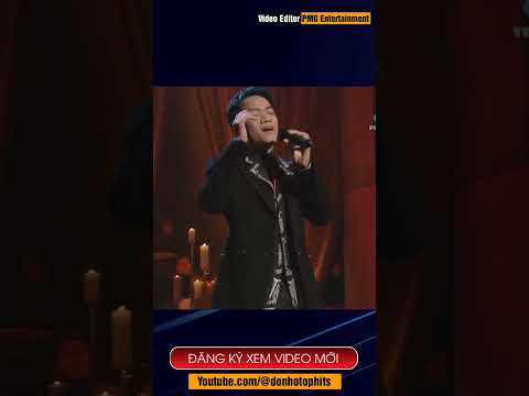 Tình Đầu Tình