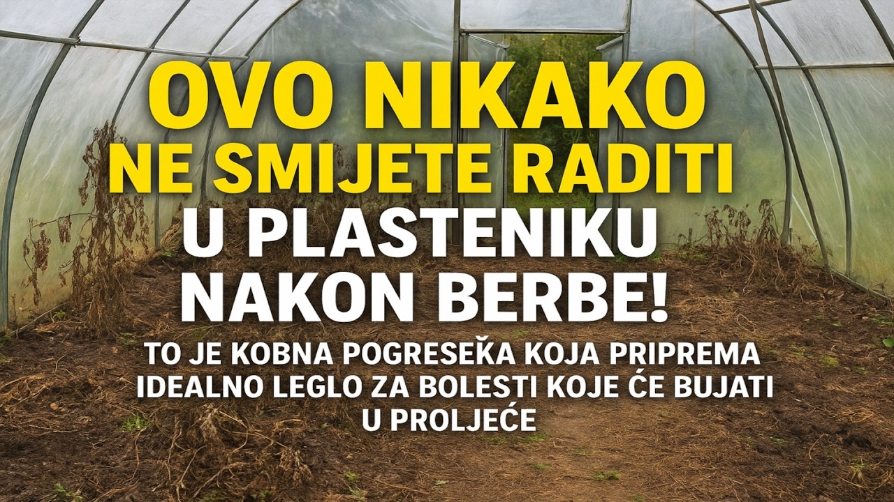 Ovo NIKAKO ne smijete raditi u plasteniku nakon berbe! To je kobna pogreška koja priprema idealno l
