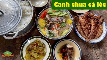 Canh chua cá lóc miệt đồng - Cá lóc chiên sả thơm nồng tình quê | Đặc sản miền sông nước