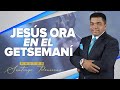 Apóstol Santiago Ponciano - Serie Jesus Ora en el Getsemaní 1/2