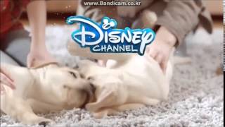 Disney Channel Ident: USA #117