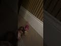 Barbie visits the lab