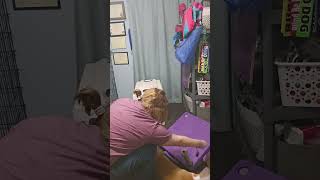 Dora Rear Foot Targeting