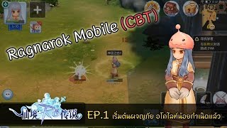 [เกมมือถือ] Ragnarok Mobile 3D EP.1 เริ่มต้นผจญภัย อโคไลท์น้อยกำเนิดแล้ว screenshot 4
