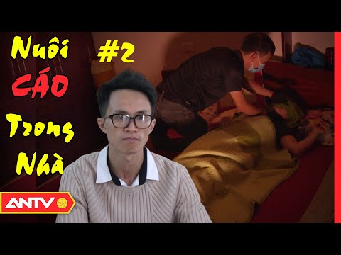 Video: Bi Kịch Di Cảo Của Kiến trúc Sư