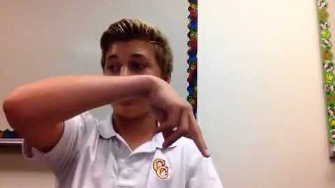 Classifiers ASL in class assignment