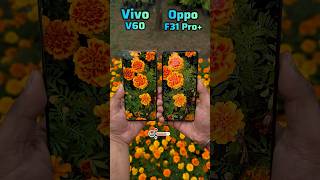 Vivo V60 Vs Oppo F31 Pro Plus Camera Comparison