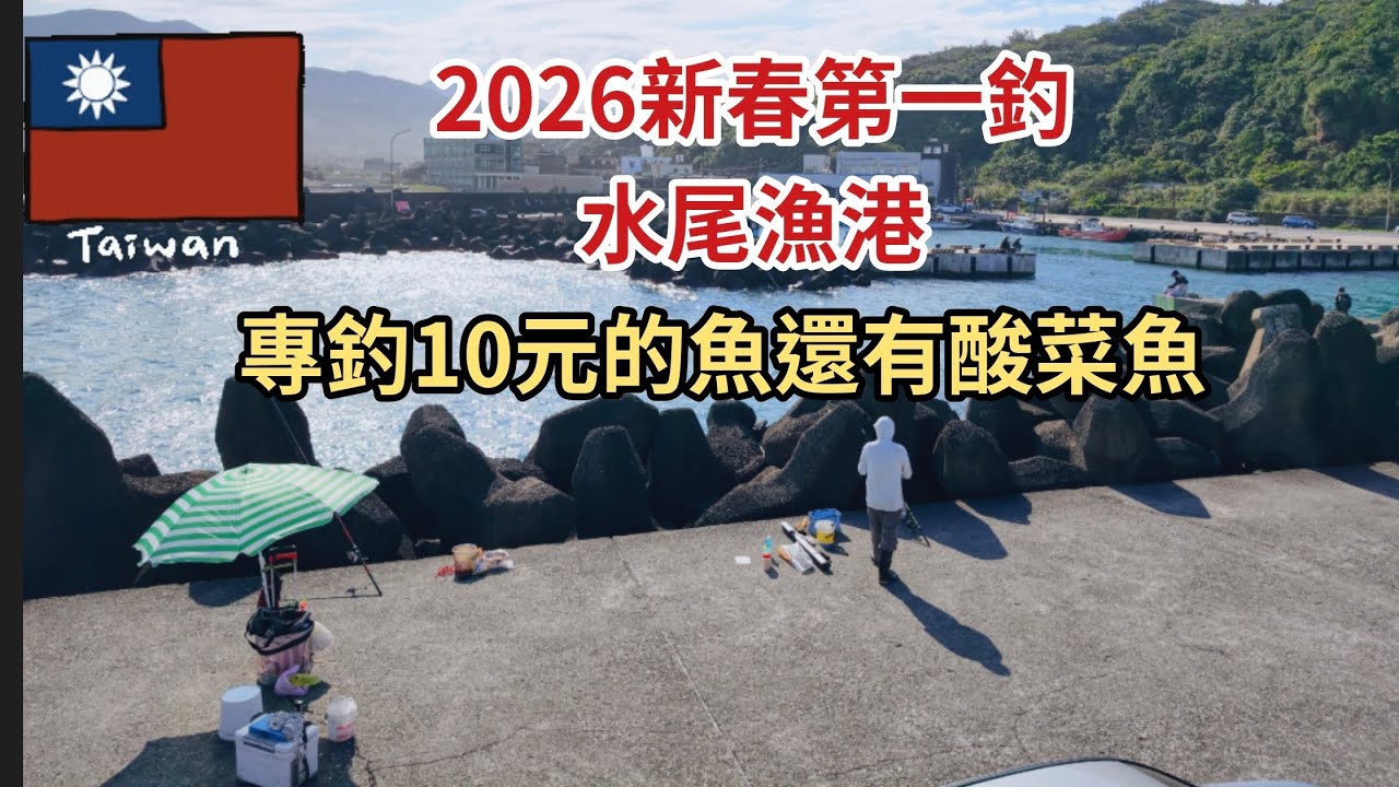台灣釣魚樂（120）2026新春第一釣水尾漁港專釣10元的魚還有酸菜魚#釣魚 