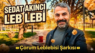 Yeni Şarkı Leb Lebi Yeni Müzik Çorum Leblebisi Al Şarkısı
