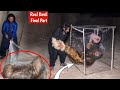 Real Devil Cought In Cage| Ep# 465 |Scary Video|Ghost Video|Horror Video|Ghost| Woh Kya Raz Hai