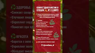 🔥КАК ПРОЖИТЬ ДО 100 ЛЕТ, И СБЕРЕЧЬ ЗДОРОВЬЕ? #здоровье #красота #shorts #short #shortsvideo #зож