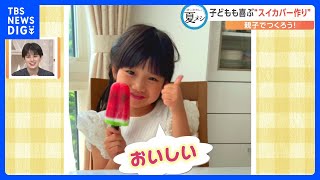 【ぼくのわたしの夏メシ】おうちで子どもと一緒に楽しく作れる“スイカバー”｜TBS NEWS DIG