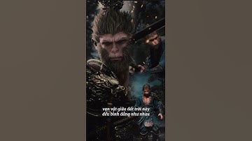 Đạo lý của Tôn Ngộ Không ta là... #tonngokhong