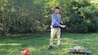 Introduction to controlling your dog's prey drive. Wildlife avoidance with Ryan Tate