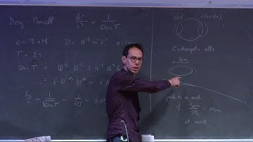 Optimization, inference and learning in biological systems - Lecture 7