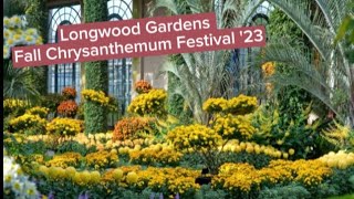 Longwood Gardens Fall Chrysanthemum Festival '23