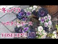 【寄せ植え】バラ咲きのハボタンをリースに植える/エレガントな組み合わせの寄せ植え／年末年始を彩るガーデニング