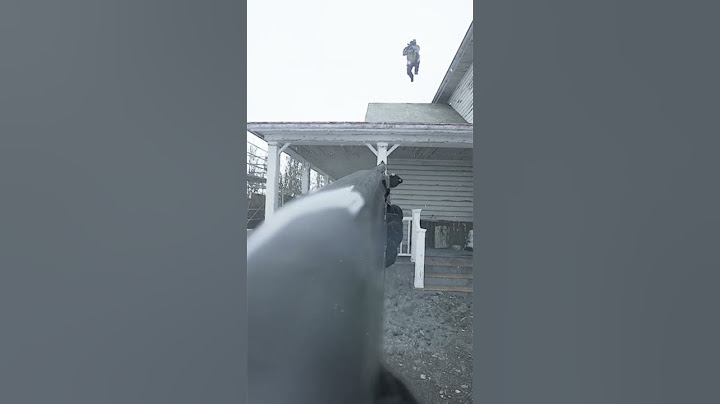 Bodycam Don't Try And Fly