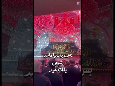 قال الامام الصادق ع نحن كلنا سفن النجاه ولا كن سفينة جدي الح سين ع اوسع واكبر