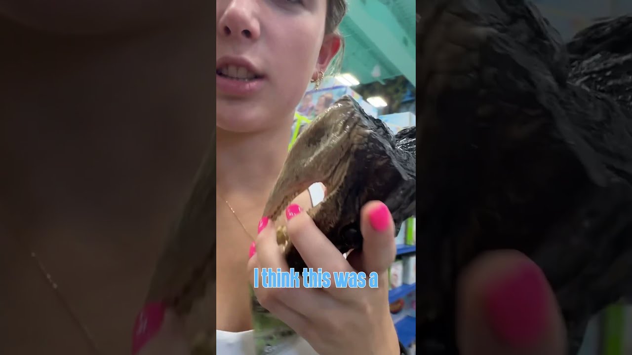 New Video Out Tomorrow Vlog Shorts Vacation