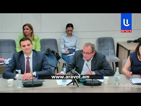 Պոպուլիզմը այս ամենի մեջ շատ էր. Արծվիկ Մինասյանը օնլայն կազինոներին վերաբերող առաջարկությունների մա