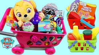 PAW PATROL Pup Baby Skye Goes Shopping for Groceries! screenshot 5