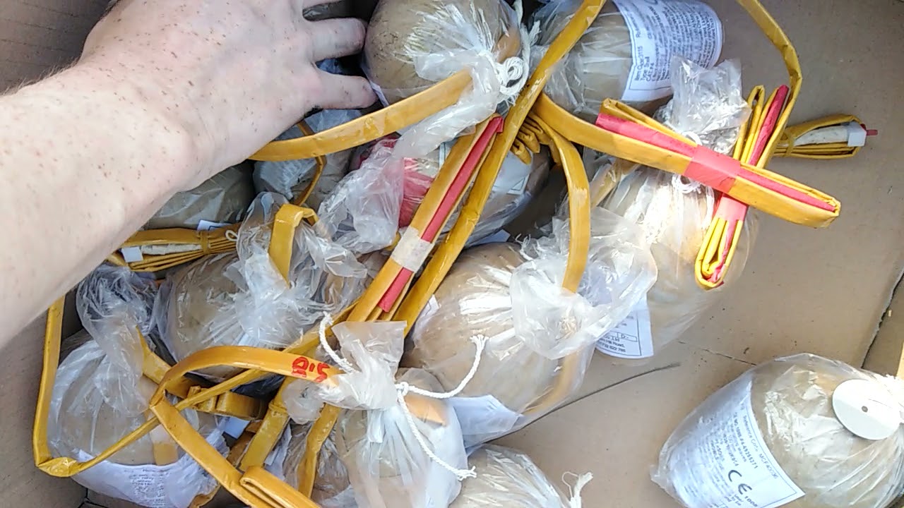 2.5", 3" and 4" Display shells from various companies.