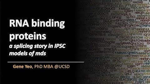 RNA Binding Proteins: A Splicing Story in IPSC Models of MDS with Gene Yeo