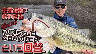 REALIS WRIGGLE CRAWLER - BASS｜製品情報｜DUO International