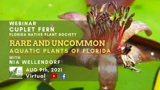 Rare and Uncommon Aquatic Plants of Florida