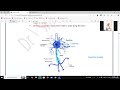 مراجعة و حل | Nervous system | Part 1 | G12