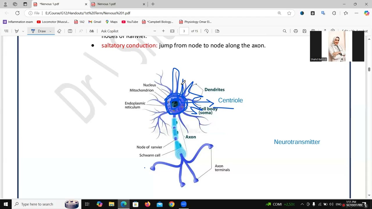 مراجعة و حل | Nervous system | Part 1 | G12