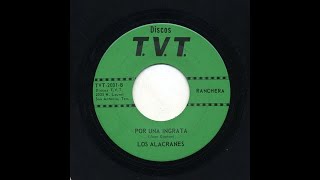 Video thumbnail of "Los Alacranes De Angel Flores - Por Una Ingrata - T.V.T. Records tvt-2031-b"