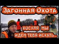 Охота на косулю в России. Коллективная, загонная охота на копытного зверя.