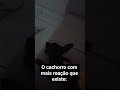 tava parado demais