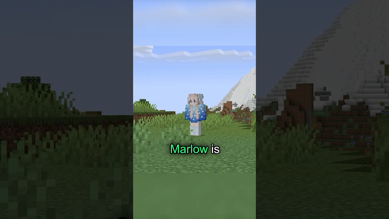 Minecraft's Biggest CHEATER...