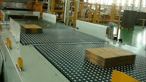 WSA Fully Automatic Palletizer - Ball Belt Type