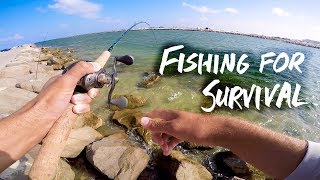 living off only the fish I can catch - jetty fishing