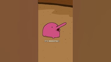 Nigel and Marmalade help a cowboy #animation