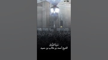 سورة الضحى | الشيخ #أحمد_بن_طالب_بن_حميد