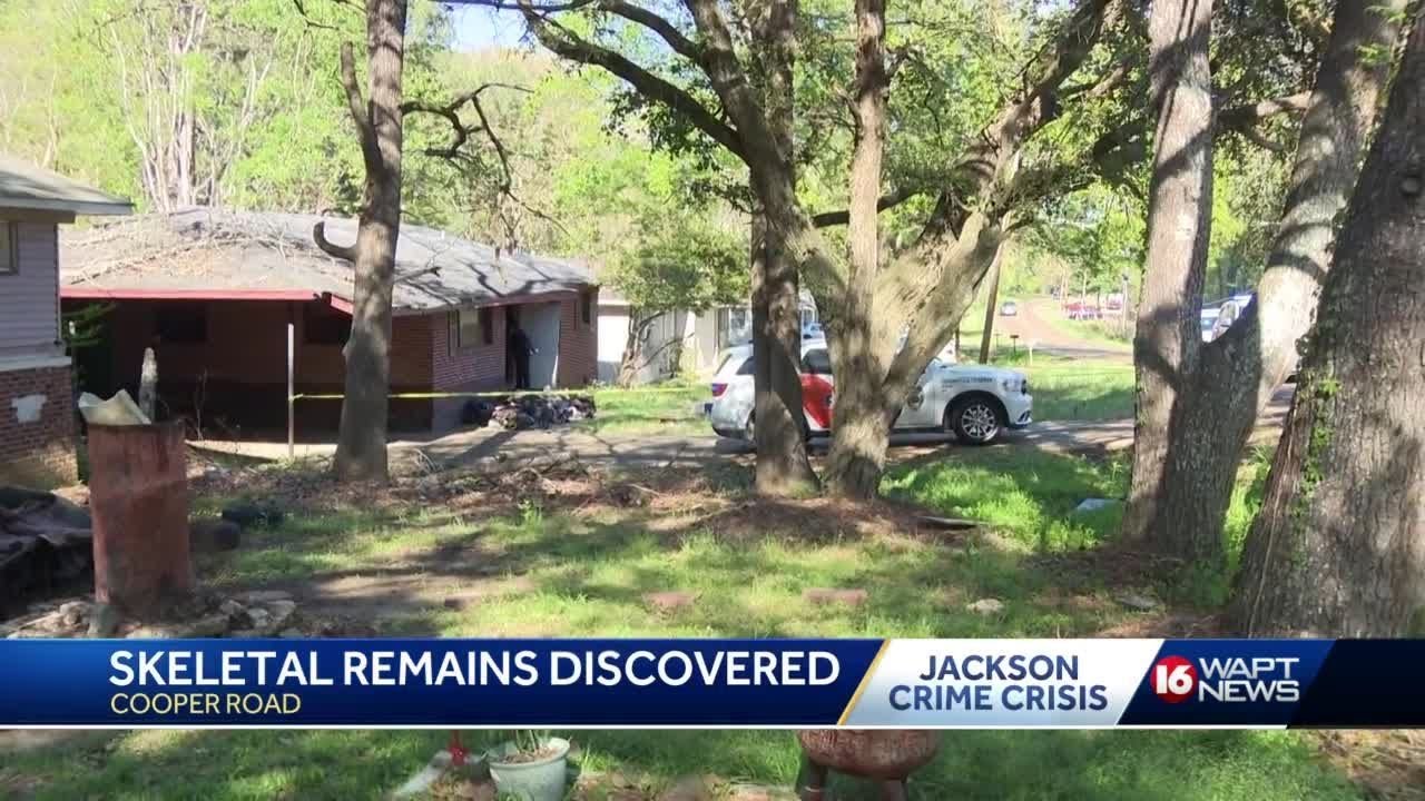 Skeletal remains found in home YouTube
