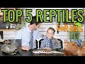 Top 5 Reptiles For Kids