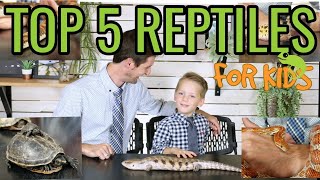 Top 5 Reptiles For Kids